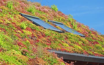 Debenham living roof systems